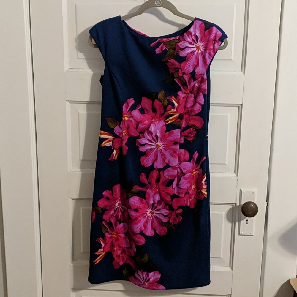 Wisp bright floral sheath sz 8
